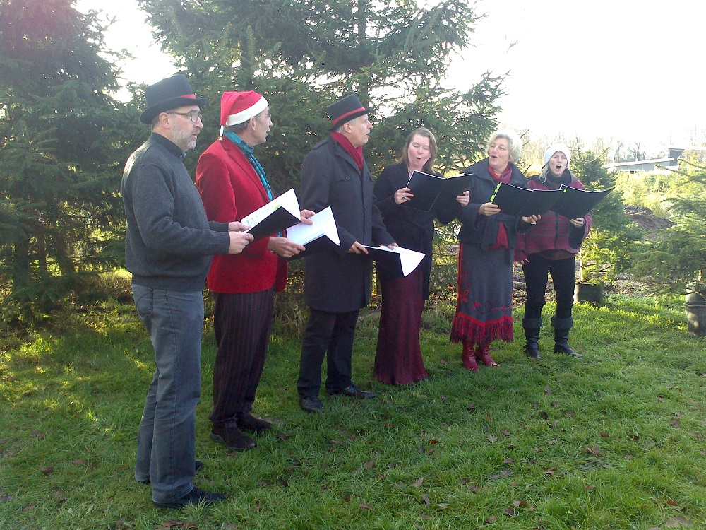 Sangdrangh zingt kerstliedjes buiten op kwekerij Leusden